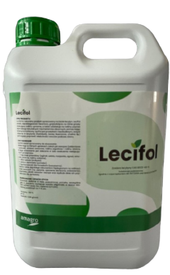 Zrzut ekranu 2025-01-14 141915.png