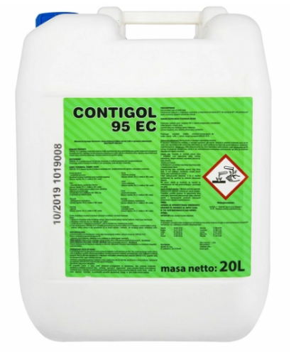 Zrzut ekranu 2025-02-19 164108.png