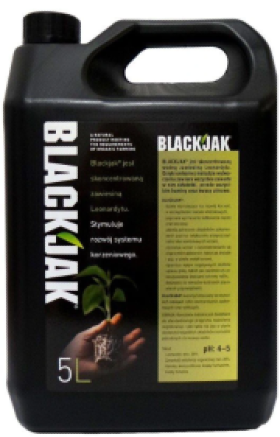 Zrzut ekranu 2025-01-08 105047.png