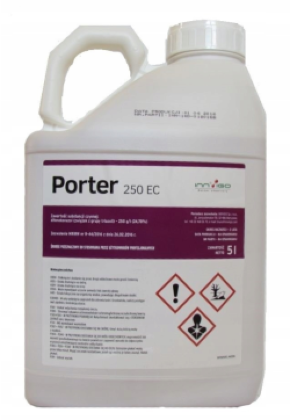 Zrzut ekranu 2025-02-16 072906.png