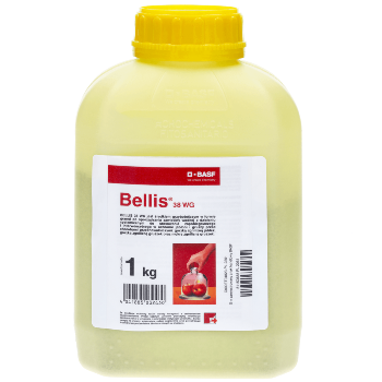 Bellis 38 WG 1 kg przeciw gorzkiej zgniliźnie