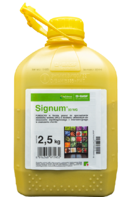 Zrzut ekranu 2025-03-02 072546.png