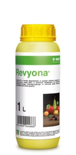 Zrzut ekranu 2025-03-06 052339.png