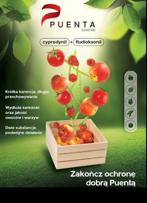 Zrzut ekranu 2025-06-07 093935.jpg