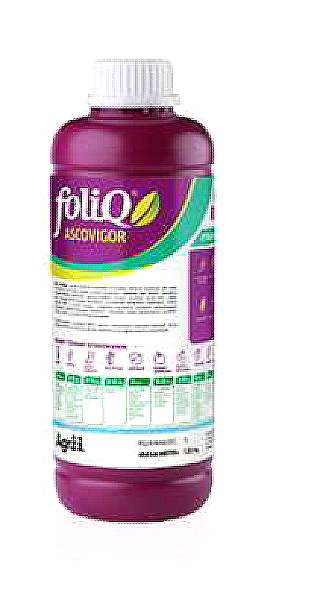 Zrzut ekranu 2025-02-19 172906.png