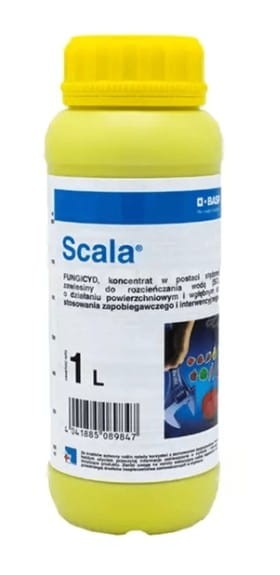 scala-fungicyd-basf-choroby-grzybowe-fungicyd