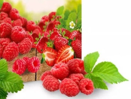 avalon-truskawka-malina-pakiet