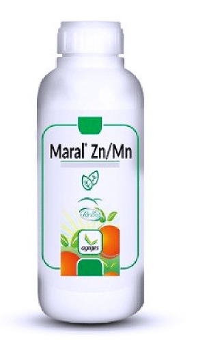 maral-zn-mn-pobudz-fotosynteze-stymuluje-wzrost