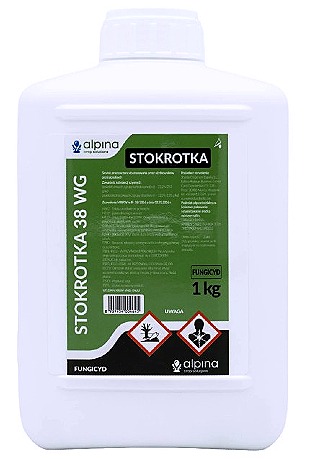 alpina-stokrotka-38-wg-1-kg-bellis-38-wg