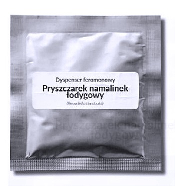 feromon-pryszczarek-namalinowy