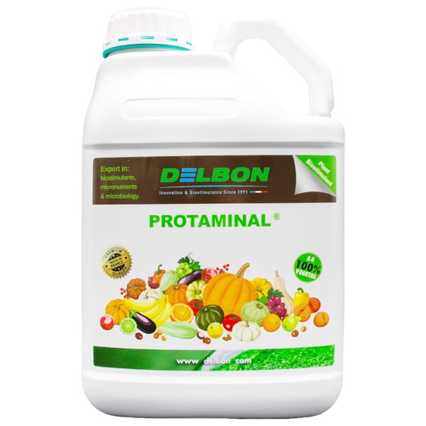 Protaminal- aminokwasy pojemność 5 l