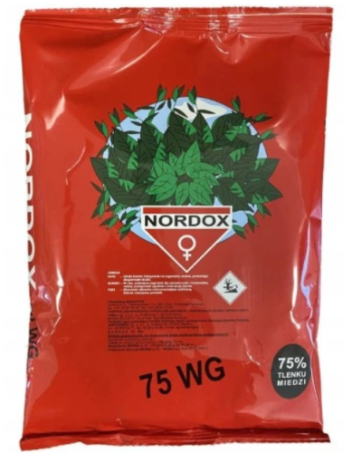 Zrzut ekranu 2025-01-11 083145.png