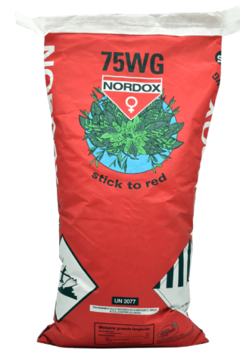 Zrzut ekranu 2025-01-11 083026.png