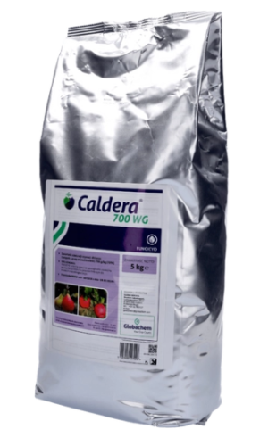 Zrzut ekranu 2025-01-12 155156.png