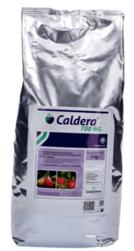 Zrzut ekranu 2025-01-12 155221.png