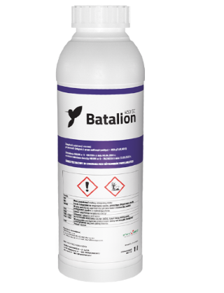 Zrzut ekranu 2025-01-13 163122.png