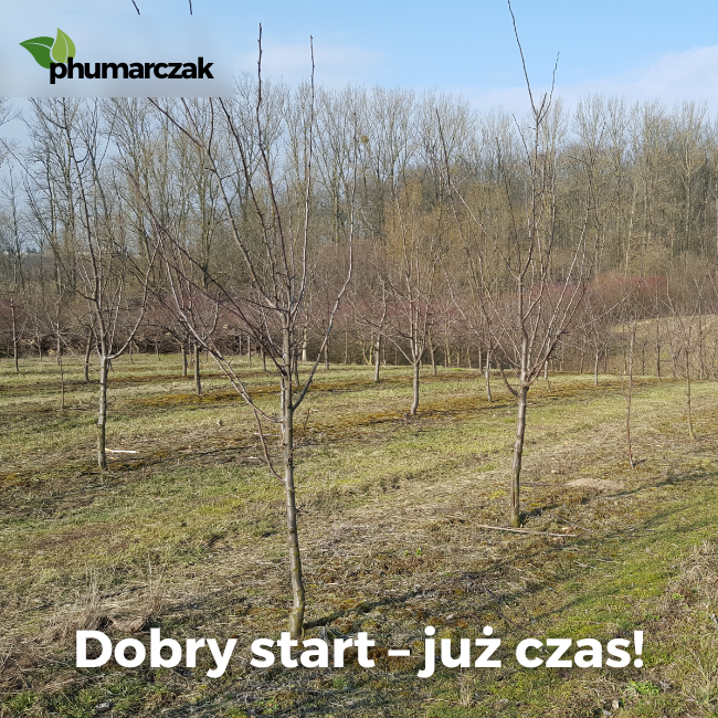 Dobry start – już czas!